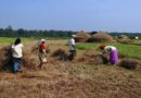 पीएम-किसान योजना में उत्तर प्रदेश के 21 लाख किसान अपात्र पाए गए