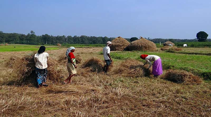 पीएम-किसान योजना में उत्तर प्रदेश के 21 लाख किसान अपात्र पाए गए