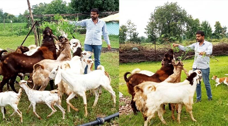 बकरी पालन और जैविक खेती कर युवाओं के लिए बने प्रेरणा स्त्रोत - टीवी रिपोर्टर हिमांशु विश्वकर्मा