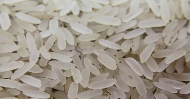 केंद्र सरकार ने टूटे चावल के निर्यात पर लगाया प्रतिबंध
