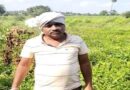 राजस्थान के साढे़ सात लाख किसानों को मुफ्त बिजली