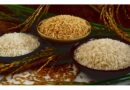 चावल बायोफोर्टिफिकेशन, पोषण सुरक्षा के लिए एक प्रभावशाली कदम
