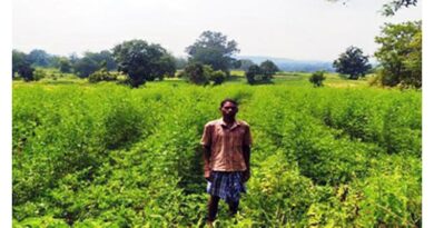 सूरजनाथ को दलहन एवं तिलहन की खेती से 1 वर्ष में 72 हजार रुपए की हुई आमदनी