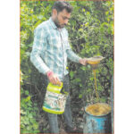 मिर्च ने दिलाया मनमाफिक मुनाफा