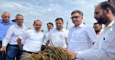 राजस्थान में अधिकारियों ने टोंक, बूंदी, कोटा जिले में ख़राब हुई फसलों का जायजा लिया