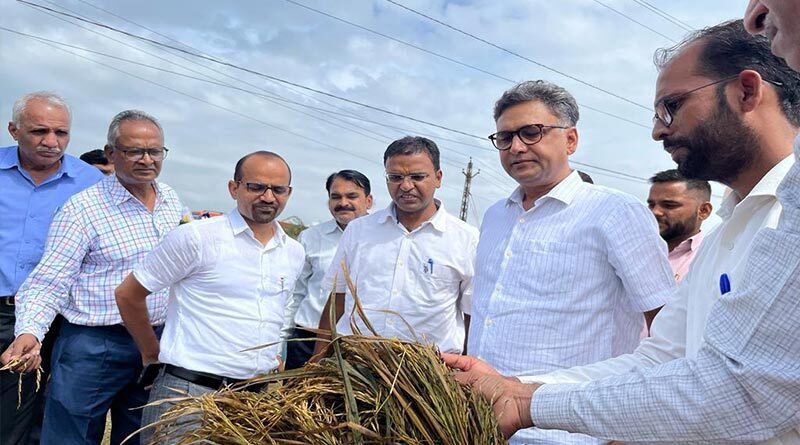 राजस्थान में अधिकारियों ने टोंक, बूंदी, कोटा जिले में ख़राब हुई फसलों का जायजा लिया