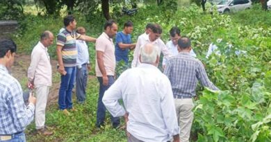 नागपुर के कृषि वैज्ञानिकों ने कपास में गुलाबी इल्ली के नियंत्रण के उपाय बतायें