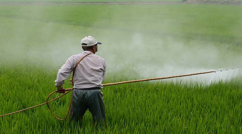कम किया किसानों ने कृषि रसायन का उपयोग; खपत में आई गिरावट