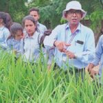 कृषि के क्षेत्र में महिलाओं की भागीदारी बढ़ी