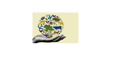 मध्य प्रदेश में जैव विविधता पुरस्कार के लिए आवेदन 31 जनवरी तक दें