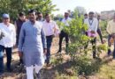  उद्यानिकी राज्यमंत्री श्री कुशवाह ने किया कृषि फार्म का निरीक्षण  