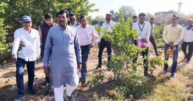  उद्यानिकी राज्यमंत्री श्री कुशवाह ने किया कृषि फार्म का निरीक्षण  