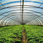 कृषक पुरस्कार हेतु आवेदन 15 जनवरी तक आमंत्रित