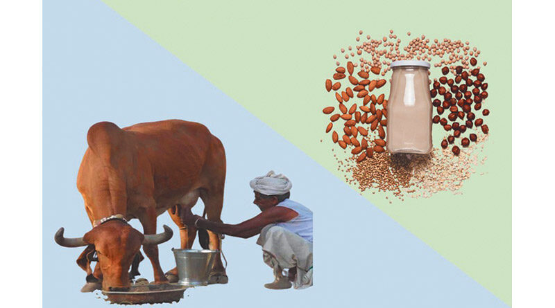 गाय के दूध और पौध आधारित दूध की हकीकत