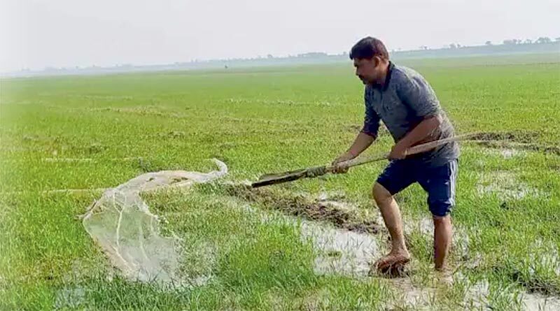 राजस्थान में किसान को काम करते हुए अंग-भंग या मृत्यु होने पर 2 लाख रुपये तक की सहायता