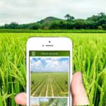 छत्तीसगढ़ में आगामी खरीफ के लिए नियंत्रण कक्ष स्थापित