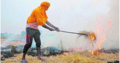 किसानों से नरवाई नहीं जलाने की अपील
