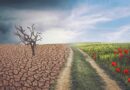 जलवायु परिवर्तन का कृषि पर प्रभाव