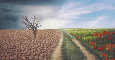 जलवायु परिवर्तन का कृषि पर प्रभाव