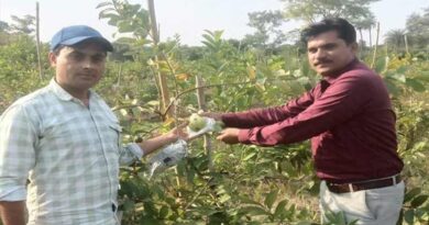किसान रविन्‍द्र को फलोद्यान योजना से मिल रहा आर्थिक लाभ