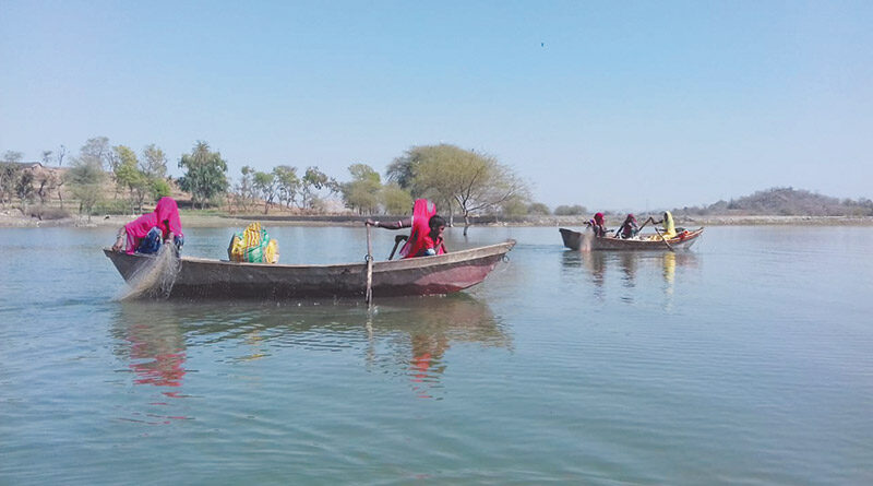 राजस्थान में आदिवासी मछुआरों को आर्थिक संबल दे रहा शून्य राजस्व आजीविका मॉडल