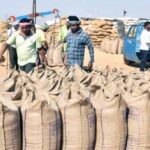 छत्तीसगढ़ में खरीफ विपणन वर्ष 2023-24 के तहत एक नवंबर 2023 से धान खरीदी का महाअभियान निरंतर जारी है। राज्य सरकार द्वारा इस वर्ष मोदी जी की गारंटी के अनुरूप किसानों से 21 क्विं