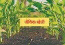 प्राकृतिक, जैविक खेती के लिए बजट बनाए सरकार : श्री मनिंदर सिंह संस्थापक और सीईओ, सीईएफ ग्रुप