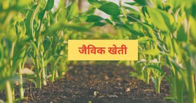 प्राकृतिक, जैविक खेती के लिए बजट बनाए सरकार : श्री मनिंदर सिंह संस्थापक और सीईओ, सीईएफ ग्रुप