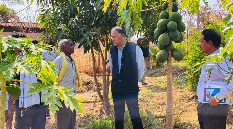 Chhattisgarh: अपने फलोद्यान और सब्जी बाड़ी  में कलेक्टर को देख किसान हुए प्रसन्न 