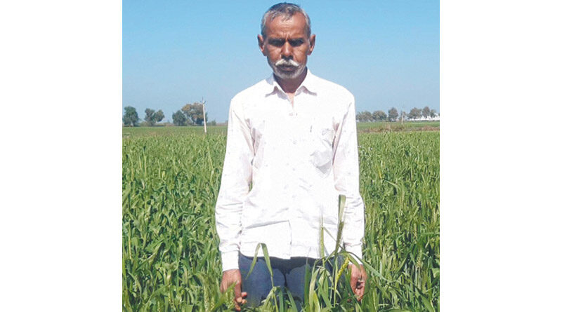राजस्थान के कृषि बजट से किसानों के जीवन में खुशहाली आएगी : श्री आंजना