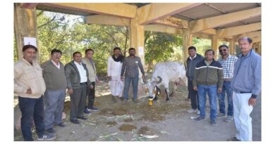 काना की गाय ने दिया सर्वाधिक 12.300 लीटर दूध, मिला पहला ईनाम