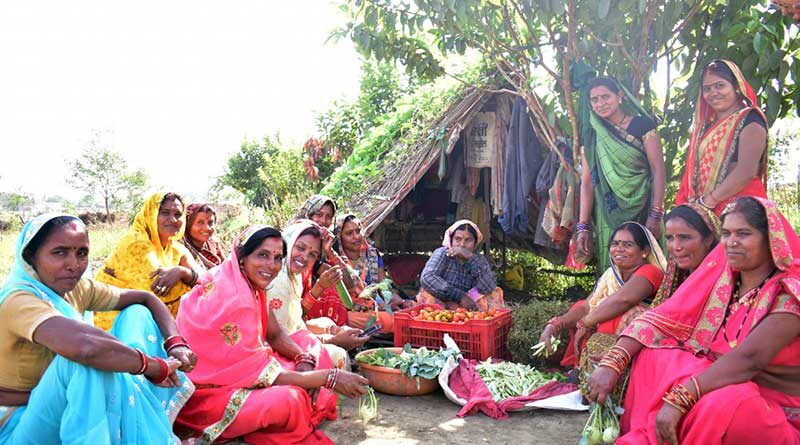 छत्तीसगढ़ में केसरा की महिलाओं ने सब्जी लगाकर कमाए 17 लाख रुपए