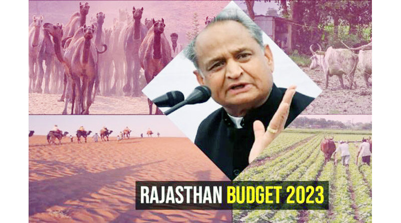 राजस्थान के बजट में युवाओं, महिलाओं एवं किसानों के हित में उठाये कदम : डॉ. जोशी