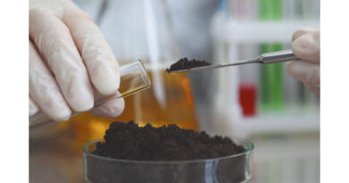 पौधों के संतुलित पोषण के लिए मिट्टी परीक्षण आवश्यक
