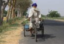 भारत सरकार ने रसायन मुक्त प्राकृतिक खेती के लिए NMNF मिशन किया तैयार 
