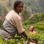 कृषि कर्मण अवॉर्ड के लिए अन्नदाता का सम्मान