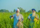 अब पंजाब के किसानों को भी फसल बीमा योजना का फायदा मिलेगा
