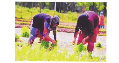महिला दिवस पर विशेष : खेती में महिलाओं का योगदान