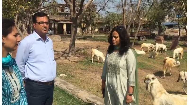 राजस्थान के पशु प्रजनन फार्म कुम्हेर में खुलेगा पशुपालक प्रशिक्षण केंद्र