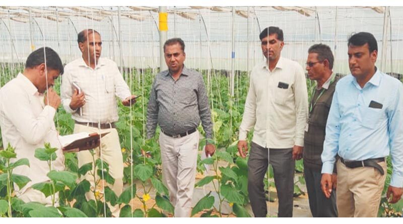 राजस्थान में अतिरिक्त निदेशक कृषि ने किया कृषि विभाग की विभिन्न योजनाओं का निरीक्षण