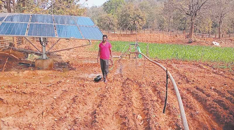 Chhattisgarh: सोलर पंप से बदले नजारे, लहलहा रहे खेत हमारे