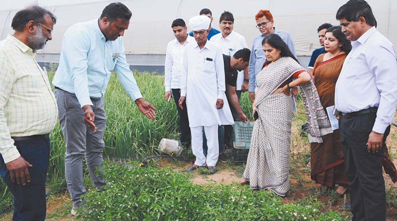 राजस्थान में मुख्य सचिव द्वारा संरक्षित खेती हब-मिनी इजरायल में कृषि एवं उद्यानिकी की तकनीकों का अवलोकन
