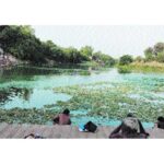 नदी लिंक परियोजना में जल की शुद्धता पहली प्राथमिकता बने