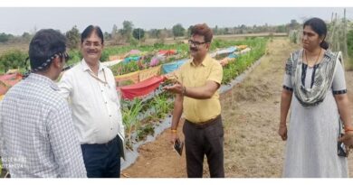 भारत सरकार की जैविक-प्राकृतिक कृषि संस्था प्रदेश में करेगी विस्तार