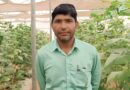 राजस्थान में मौसमी प्रकोप से फसलों की सुरक्षा के लिए संरक्षित खेती को प्रोत्साहन