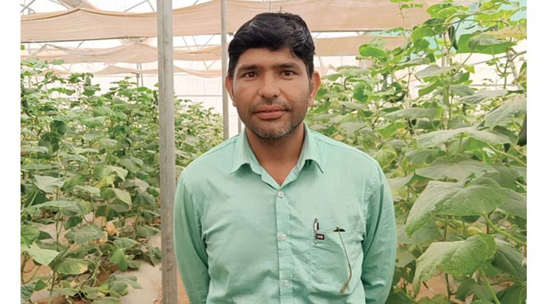 राजस्थान में मौसमी प्रकोप से फसलों की सुरक्षा के लिए संरक्षित खेती को प्रोत्साहन