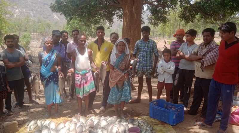 छत्तीसगढ़ में मछली पालन योजना बनी परिवार की आमदनी का जरिया