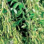 अब खेती बनेगी लाभ का धंधा