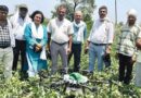 जबलपुर जिले में कृषि में ड्रोन का इस्तेमाल बढ़ा