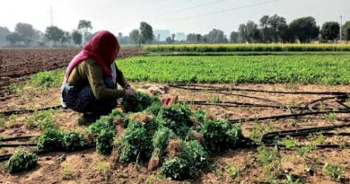 कृषि में महिलाओं को अनेक चुनौतियों का सामना करना पड़ रहा है